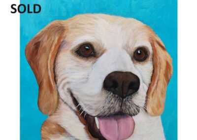 Beagle Portrait Commission